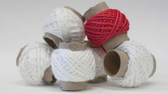 从废弃物到时尚单品 屠宰场副产品的创新利用